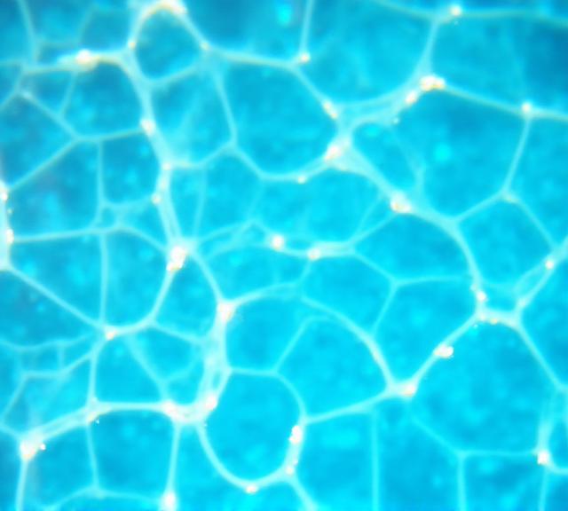 Ein nahansichtbares Mosaik aus kleinen, glänzenden, aquablauen Keramikfliesen, die Wasserbewegungen imitieren.